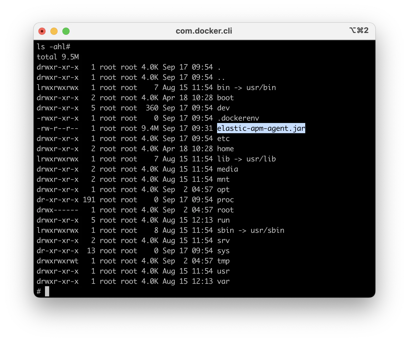 Screenshot of Terminal Window when testing